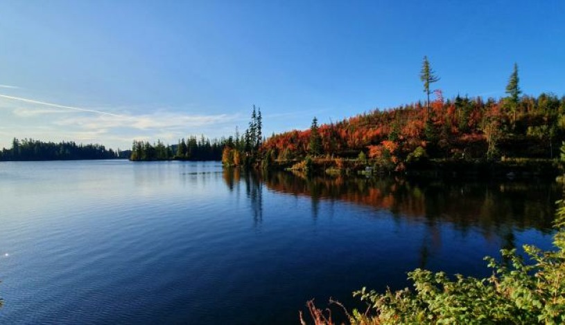 Hotel CROCUS **** Vysoké Tatry